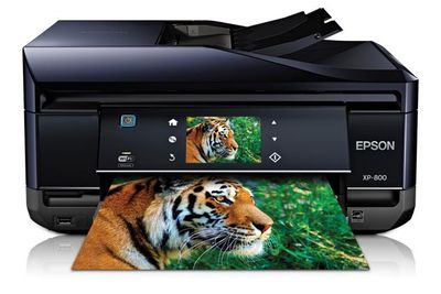 Cartuchos Epson Expression Premium XP-800